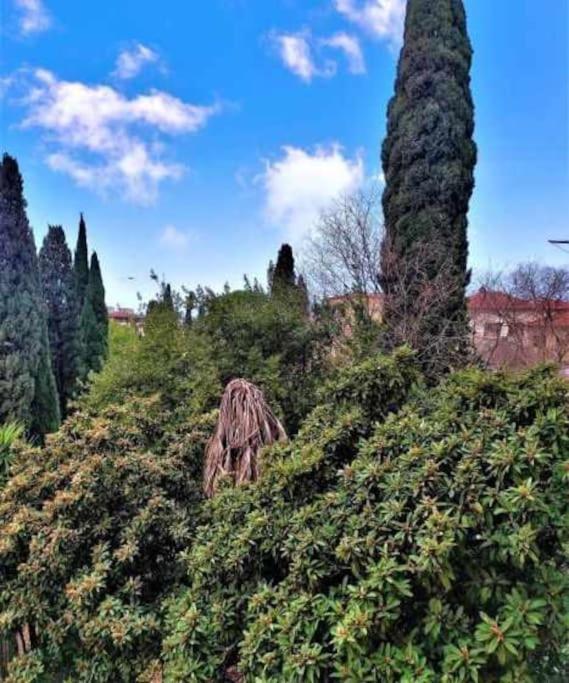 Casa Raffaello Careggi Apartment ฟลอเรนซ์ ภายนอก รูปภาพ